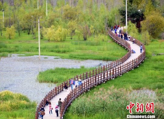 横跨美丽草海的走婚桥。(王云 摄) 王云 摄