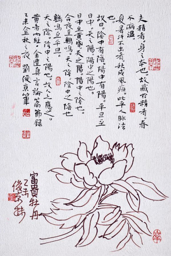 读刘俊京养生书法的三境界