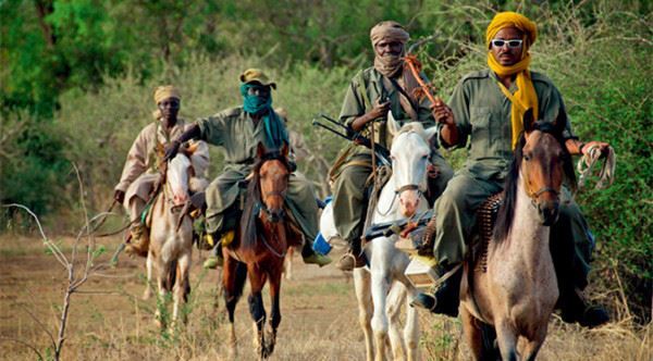 面对遍及非洲大陆的偷猎行为，反盗猎者大多数时候显得力不从心