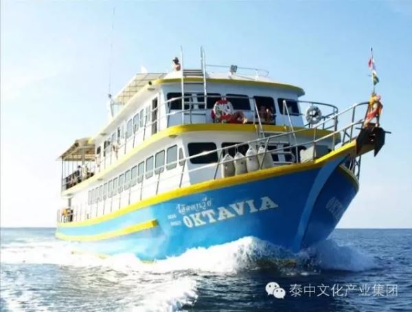 请停止网络暴力,请给中国游客一些时间! 请停止网络暴力,请给中国游客一些时间!