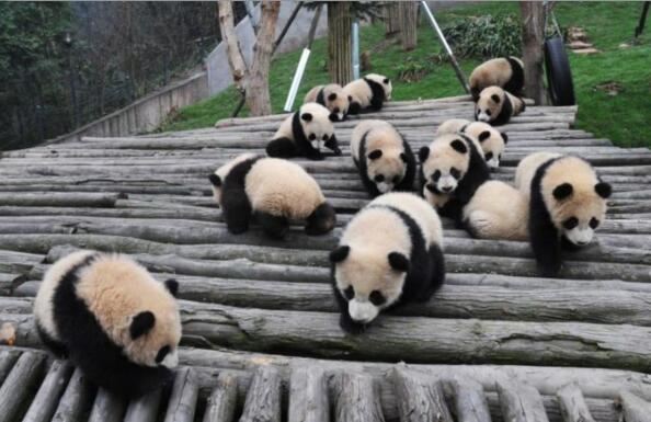 点击图片可在新窗口打开 594×385