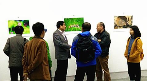 摄影精品映眼帘_摄影新人逐浪潮 摄影精品映眼帘_摄影新人逐浪潮