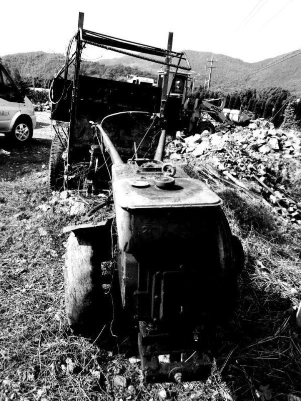 穿越时空的三毛情怀 穿越时空的三毛情怀