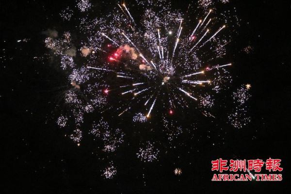 万人齐聚南非约堡唐人街共庆猪年新春佳节(视图) 万人齐聚南非约堡唐人街共庆猪年新春佳节(视图)