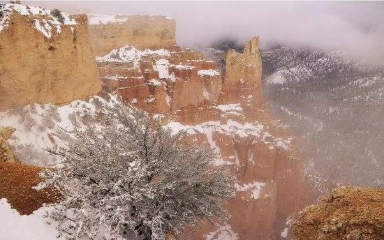 【西席】瓷语对话NO.3_【发现·创造】——关于灵感的源泉与启发 【西席】瓷语对话NO.3_【发现·创造】——关于灵感的源泉与启发