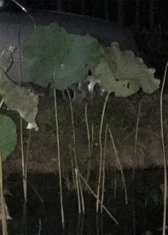 【西席】瓷语对话NO.3_【发现·创造】——关于灵感的源泉与启发 【西席】瓷语对话NO.3_【发现·创造】——关于灵感的源泉与启发