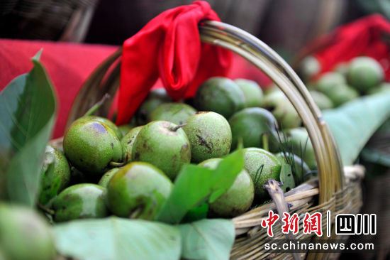 核桃鲜果。王磊 摄 核桃鲜果。王磊 摄