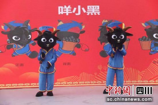 咩小黑。钟欣 摄 咩小黑。钟欣 摄