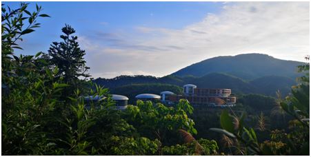 1591928661087063639.png blob.png