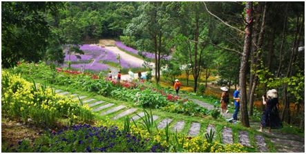 1591928747688029956.png blob.png