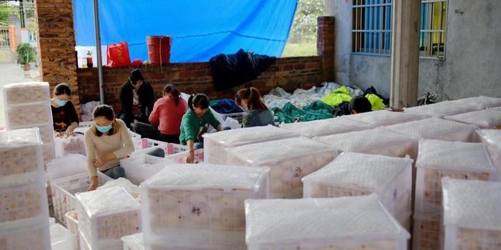 fbd4aecd2bb54ea00292b139fb6b299