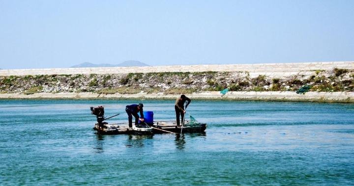 a32c33f231f6571d08e5e18b2632cce