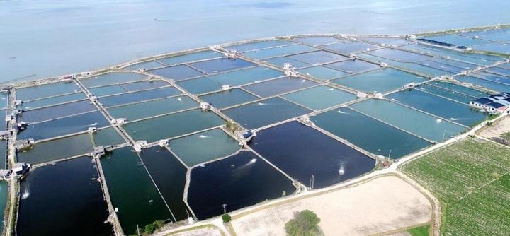 d683a5018568ad48e32785658182cd6