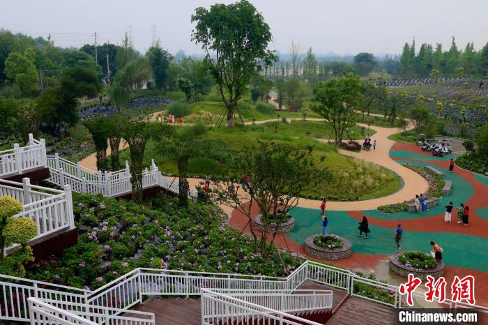 游客在鲁家滩湿地公园内游玩。 王磊 摄 游客在鲁家滩湿地公园内游玩。 王磊 摄