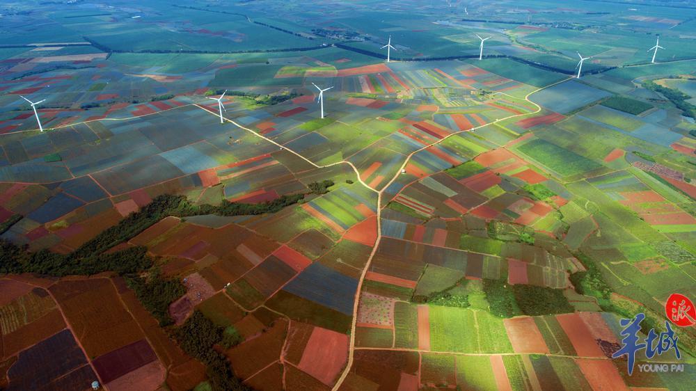 【大美广东·葡语】Uma viagem de nostalgia à Península de Leizhou! 湛江雷州半岛：日暮远山 戏梦人间