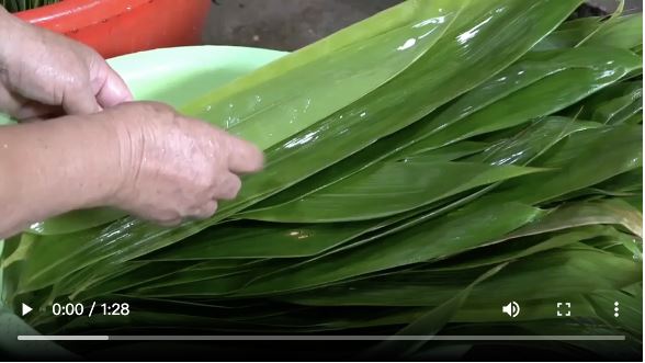 【大美广东·葡语】Guangdong Shaoguan: celebrar a Festa do Barco-Dragão com zongzi de carne 广东韶关：蕉叶糍粑裹乡愁，客家肉粽祈