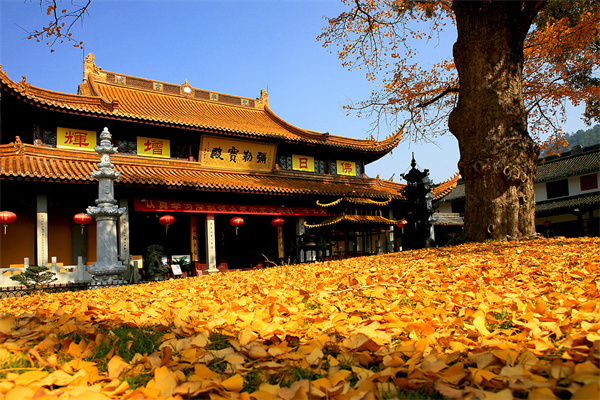 布袋和尚——回首与未来