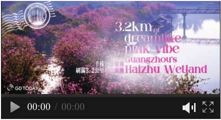 3.2 km of dreamlike pink vibe in Guangzhou's Haizhu Wetland | MicroInPixels