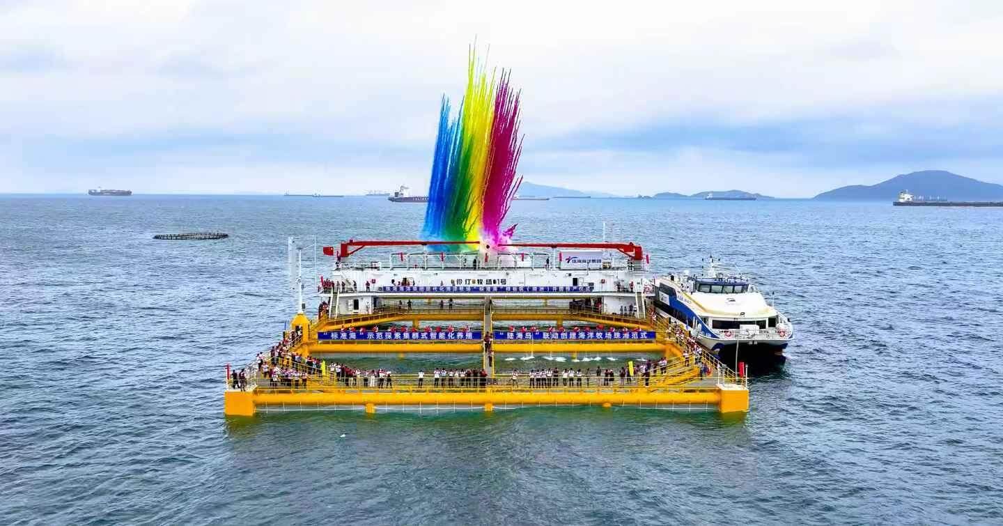 Guangdong accelerates marine farming to enrich its 'deep-sea granary'