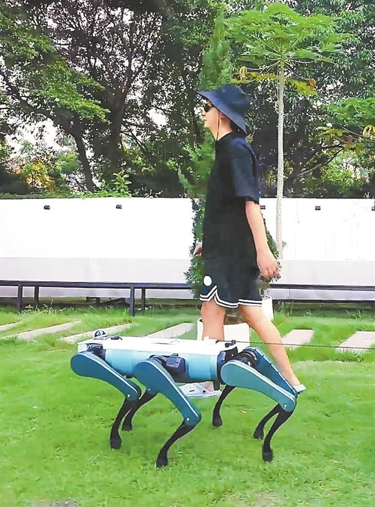 Dobot unveils six-legged robotic dog suitable for multiple scenarios