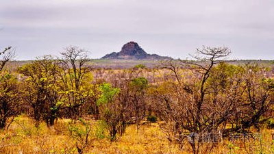 南非三省干旱及供水情况被认定为国家灾难