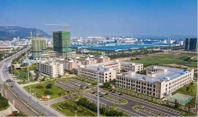侨领看好中国发展机遇 盼中外产业双向奔赴